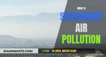 Air Pollution's Secondary Effects: What You Need to Know