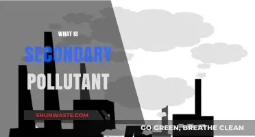 Air Pollution's Secondary Impact: What's the Danger?