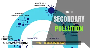 Secondary Pollution: Understanding the Hidden Dangers