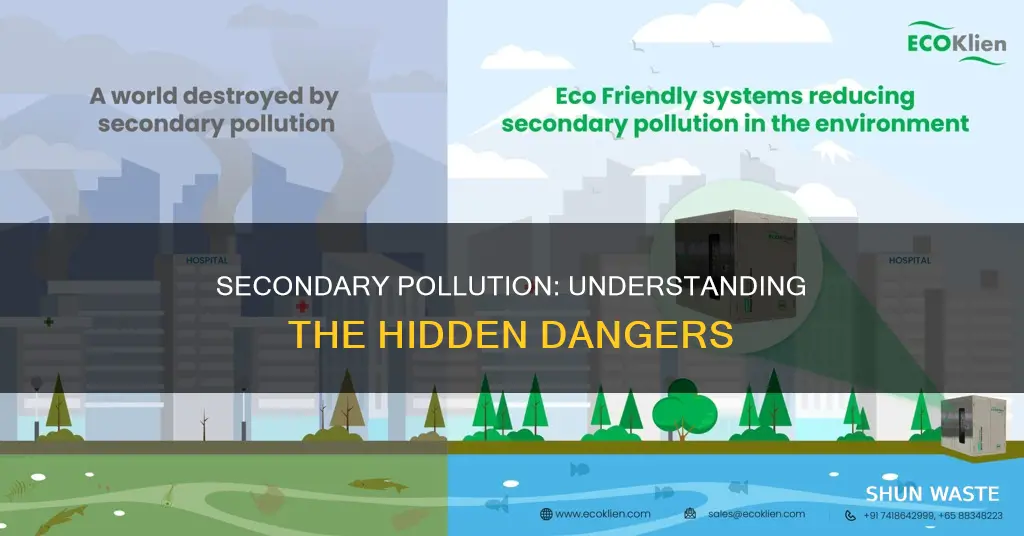 what is secondary pollution