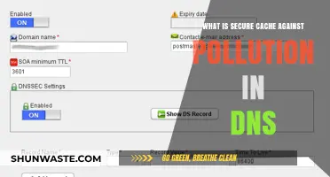 Protecting DNS Cache: Preventing Pollution and Data Tampering