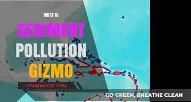 Understanding Sediment Pollution Gizmo: Causes and Impacts