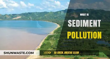 Sediment Pollution: Understanding the Dirty Downfall
