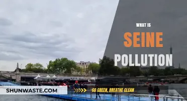 Seine Pollution: A Troubling Issue