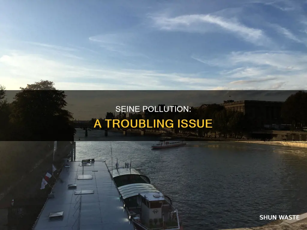 what is seine pollution