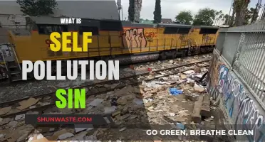 Self-Pollution: A Sin of Self-Destruction