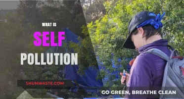 Understanding Self-Pollution: Harming Your Own Body