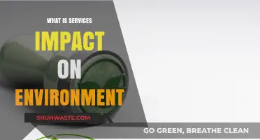 Services' Environmental Footprint: Understanding Their Impact on Our Planet