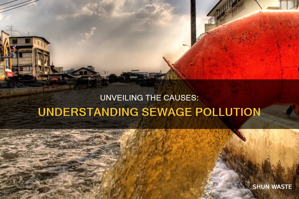 what is sewage pollution caused by