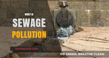 Understanding Sewage Pollution: Its Causes and Effects