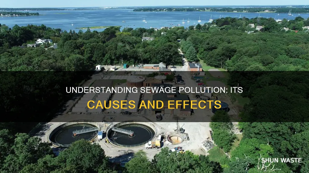 what is sewage pollution
