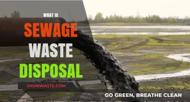 Effective Sewage Waste Disposal: Safeguarding Public Health and the Environment