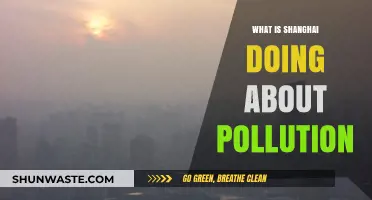 Shanghai's Anti-Pollution Efforts: Strategies and Impact