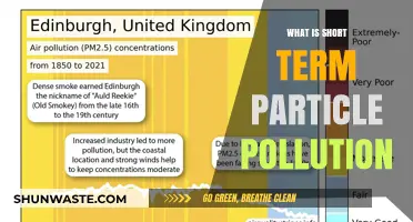 Particle Pollution: Understanding Short-Term Effects