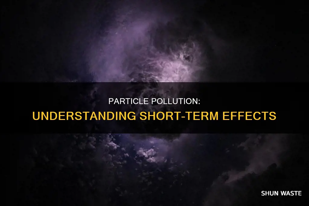 what is short term particle pollution