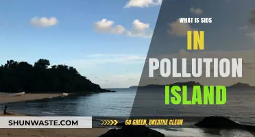 SIDS: Understanding Pollution's Impact on Island Nations