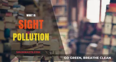 Sight Pollution: Understanding Visual Eyesores