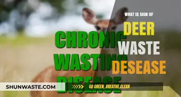 Identifying Deer Waste Disease: Signs, Symptoms, and Prevention Tips