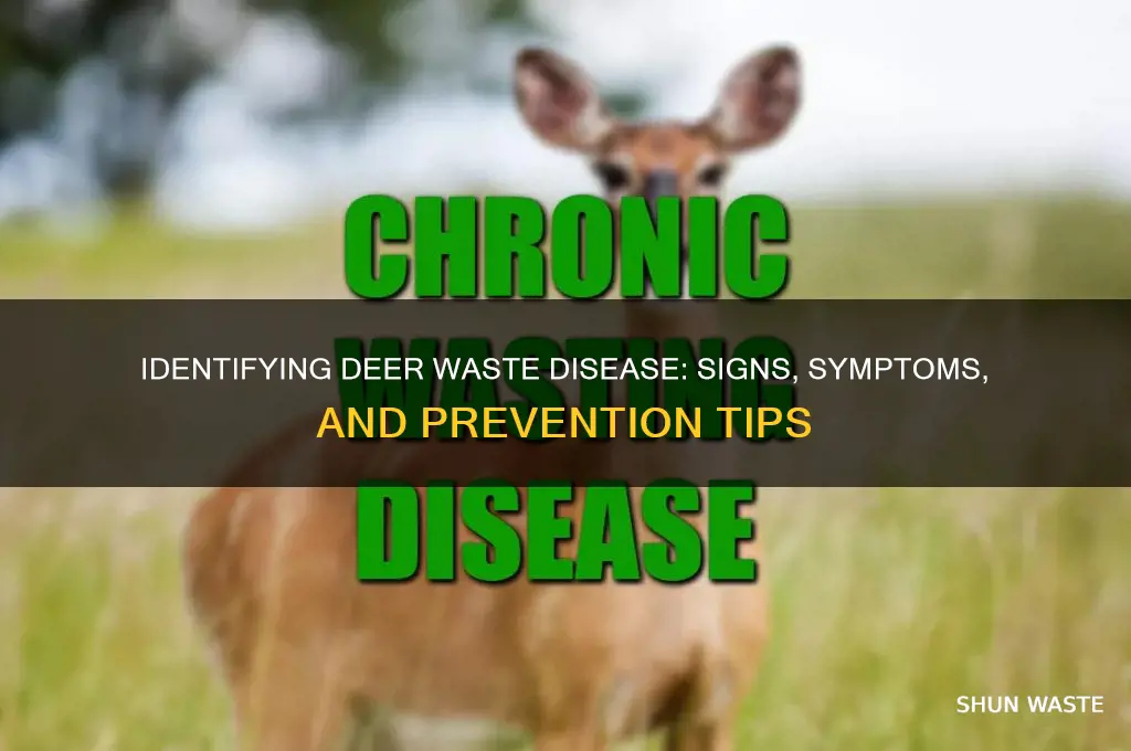 what is sign of deer waste desease