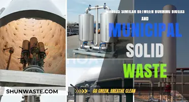 Biogas vs. Municipal Waste: Shared Combustion Traits and Benefits