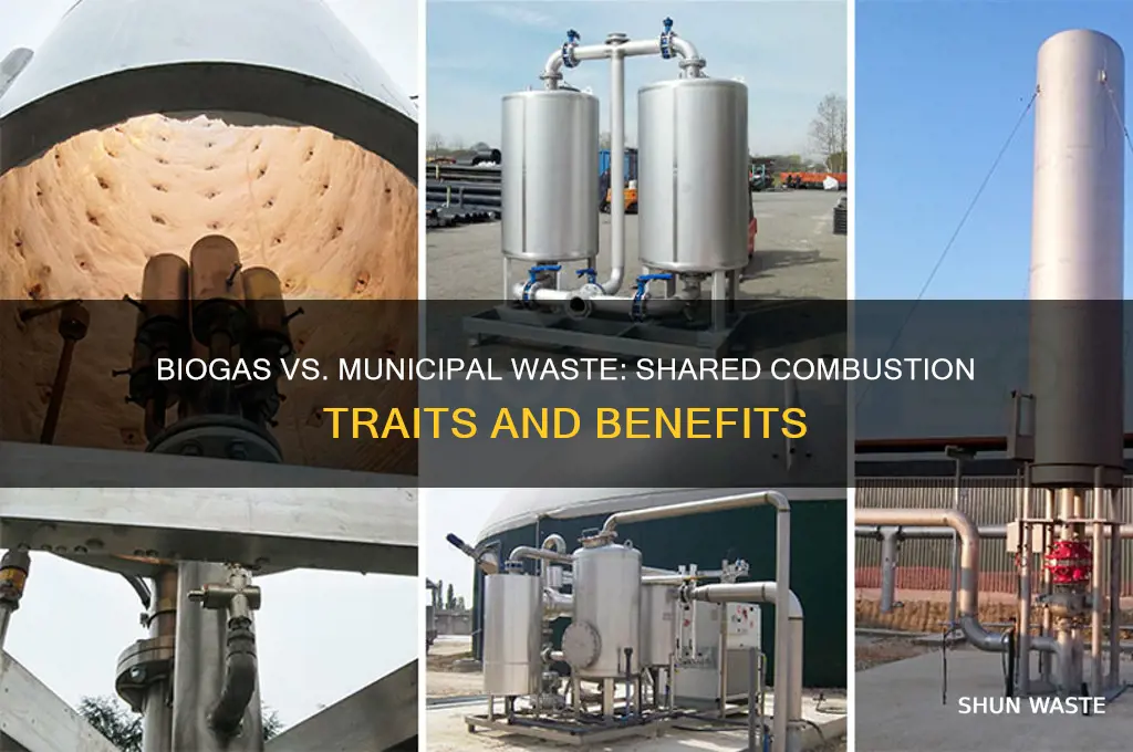 what is similar between burning biogas and municipal solid waste