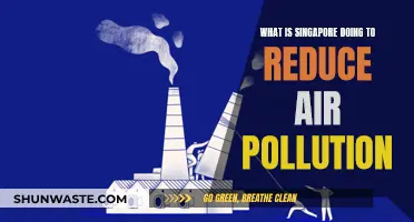 Singapore's Battle Plan Against Air Pollution