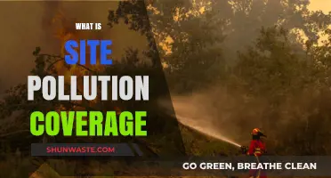 Site Pollution Coverage: Protecting Your Business from Environmental Risks