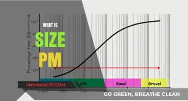 Understanding Particle Size: What is PM?