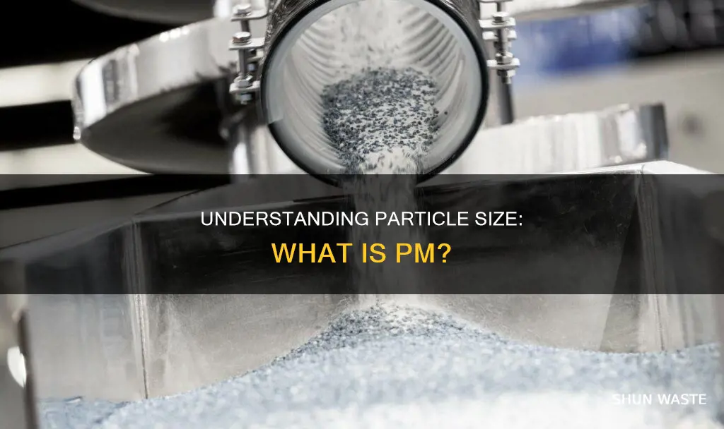 what is size pm