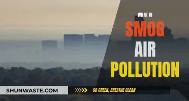 The Haze of Smog: Understanding Air Pollution