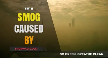 Unveiling the Smog: Understanding the Causes and Impact