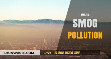 Smog Pollution: Understanding the Haze and Its Harmful Effects