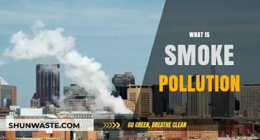 Smoke Pollution: Understanding the Hazardous Air Quality