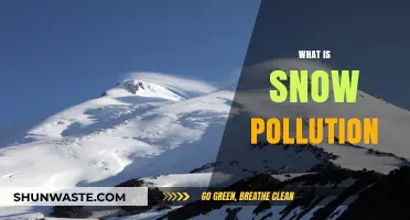 How Snow Absorbs and Reflects Pollution