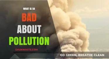 Pollution's Harmful Effects: Understanding the Impact
