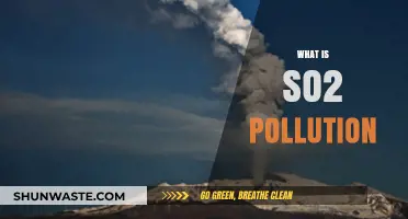 SO2 Pollution: Understanding the Sulfur Dioxide Threat