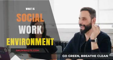 Understanding the Dynamics of a Social Work Environment