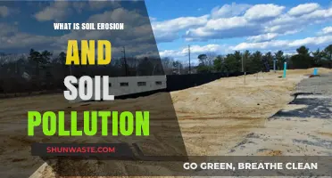 Soil Erosion and Pollution: Degradation and Its Impacts