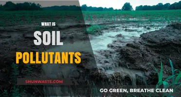 Soil Pollutants: Understanding the Contamination Crisis