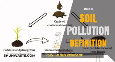 Soil Pollution: Understanding the Definition and Its Impact