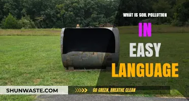 Soil Pollution: Understanding the Dirty Truth