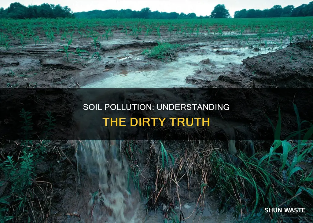 what is soil pollution in easy language