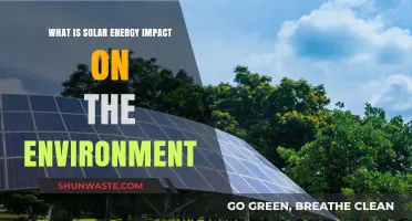 Solar Energy's Environmental Impact: Benefits, Challenges, and Sustainability