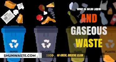 Understanding Solid, Liquid, and Gaseous Waste: Types and Management