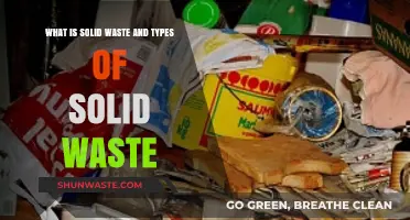 Understanding Solid Waste: Types, Sources, and Environmental Impact