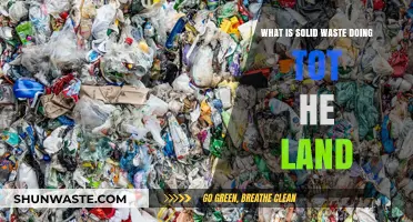 Solid Waste's Devastating Impact on Land: Causes and Consequences