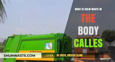 Understanding Solid Waste in the Body: Causes and Elimination Process