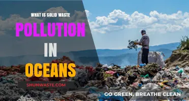 Ocean Solid Waste Pollution: Understanding the Crisis