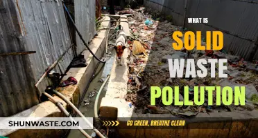 Understanding Solid Waste Pollution: Impacts and Solutions