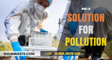 Green Revolution: Solutions to Pollution